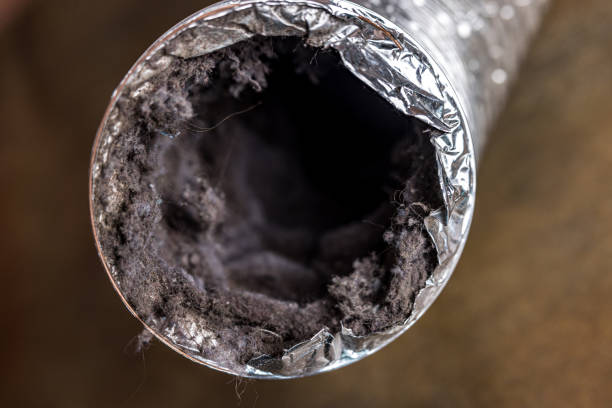 Best Affordable Duct Cleaning Services  in Denver City, TX