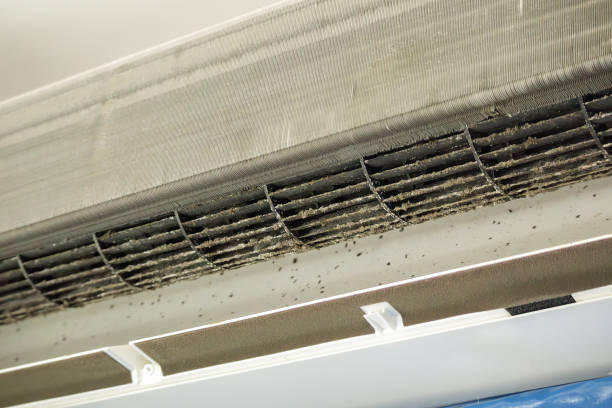 Best Best Air Duct Cleaning Company  in Denver City, TX